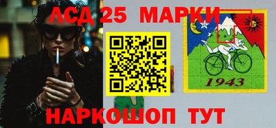 индика Кингисепп