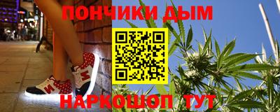 шишки Кимры