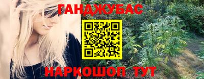 индика Кингисепп