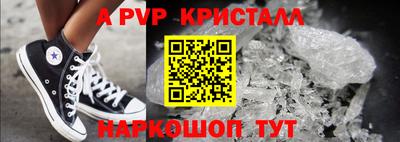 индика Кингисепп